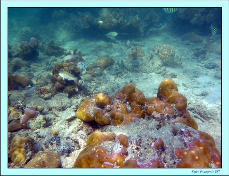 2011 - 03 - Koh Ngai 076